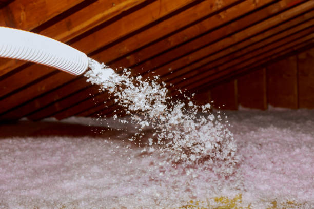 Best Blown-in Insulation  in Sebastian, FL