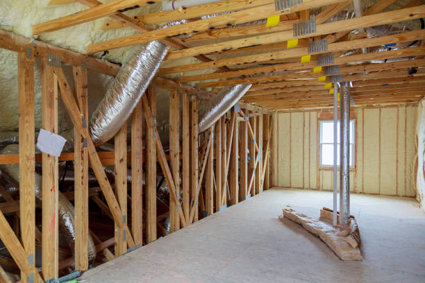 Best Insulation Removal Services  in Sebastian, FL