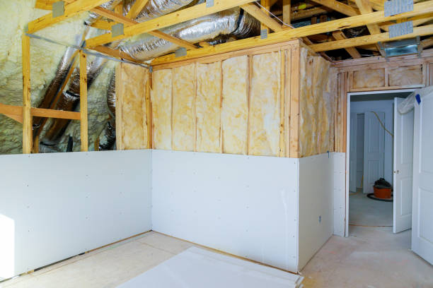 Best Insulation Replacement Services  in Sebastian, FL