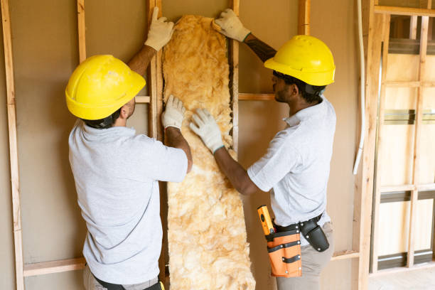 Insulation Repair Services in Sebastian, FL