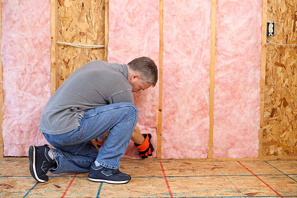Best Wall Insulation Contractor  in Sebastian, FL