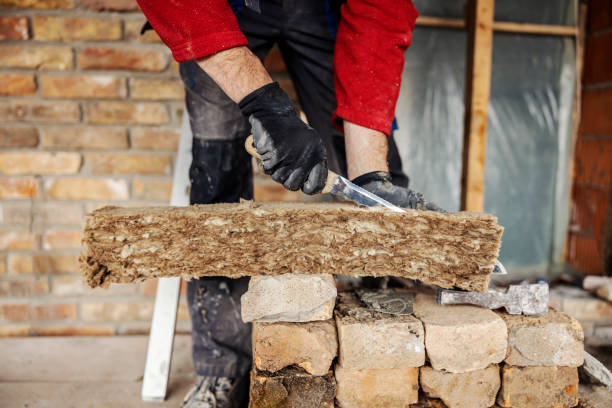 Best Professional Insulation Contractor  in Sebastian, FL