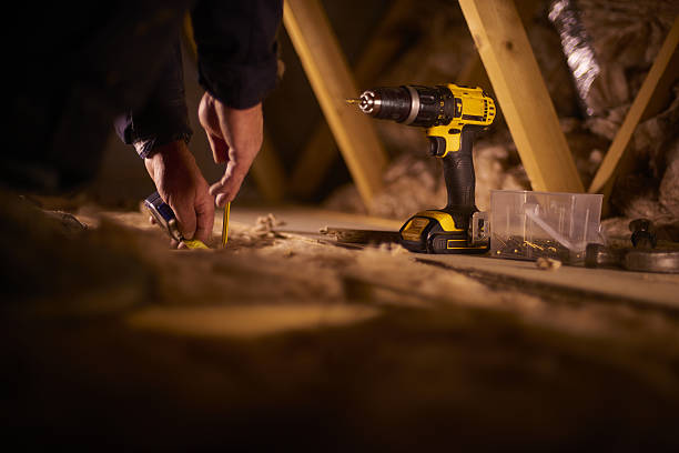 Best Insulation Removal Services  in Sebastian, FL