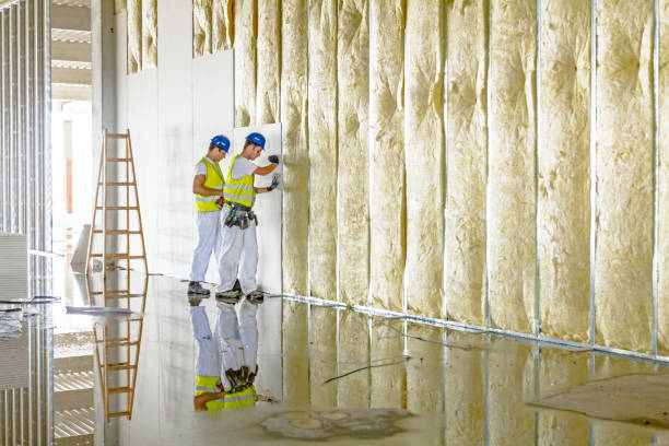 Best Best Insulation Companies  in Sebastian, FL